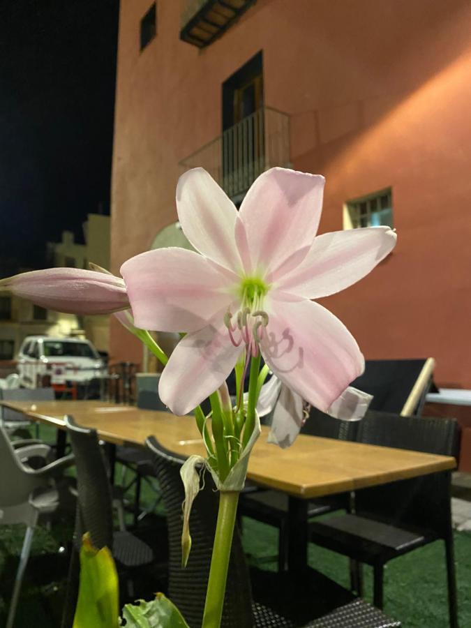 Restaurant & Rooms Cabrit Сан-Матео Экстерьер фото