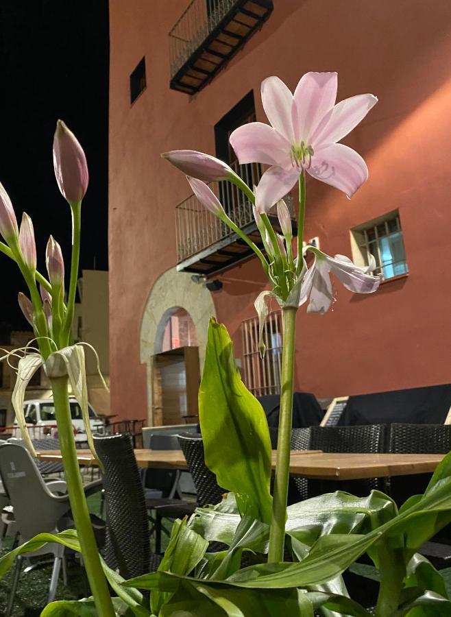 Restaurant & Rooms Cabrit Сан-Матео Экстерьер фото