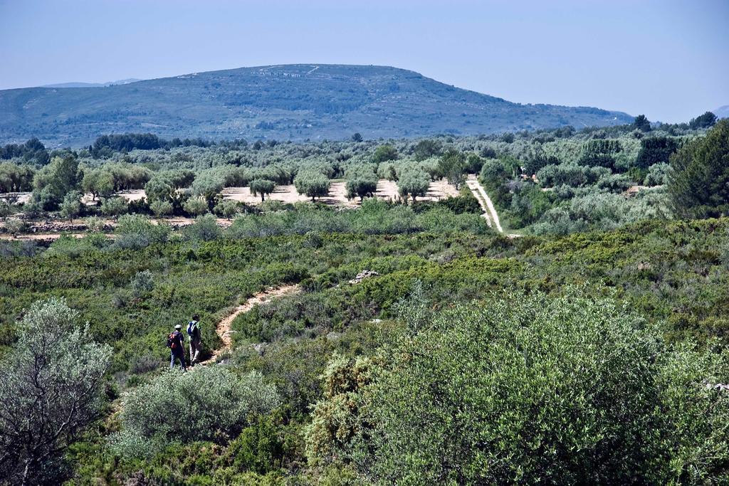Restaurant & Rooms Cabrit Сан-Матео Экстерьер фото
